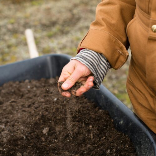 Regenerative Farming: What It Is and Why It Matters for Your Food